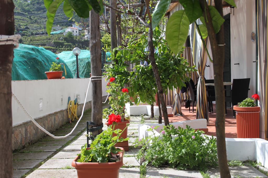 Eden Holiday مينوري المظهر الخارجي الصورة